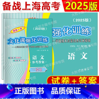 2025 高考一模卷 语文+答案 高中三年级 [正版]2024-2025年版领先一步走向成功上海高考一二模卷语文数学英语