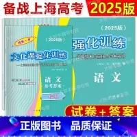 2025 高考一模卷 语文+答案 高中三年级 [正版]2024-2025年版领先一步走向成功上海高考一二模卷语文数学英语