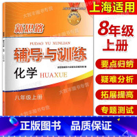 化学 [正版]2024新印次 新思路辅导与训练 化学 八年级第一学期/8年级上 上海初中化学同步练习沪教版初二配套教辅练