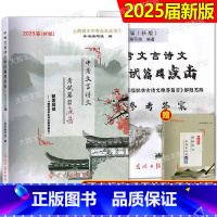 2025版 中考 文言诗文点击 书+答案 上海 [正版]任选2025届中考文言诗文考试篇目点击初三语文模拟测试卷初中文言