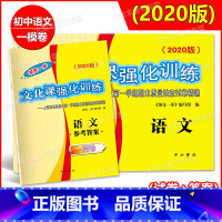 2020 中考一模 语文+答案 [正版]2020版上海市中考一模卷 领先一步文化课强化训练 中考语文数学英语物理化学 五
