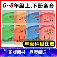 套装 八年级下 [正版]2024上海特训 六七八年级上下册 语文数学英语N版物理 678年级第一二学期语数英物 沪教版初