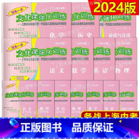 2024中考一模 全套14本[试卷+答案] 上海 [正版]2024年版走向成功领先一步中考一模二模卷 语文数学英语物理化