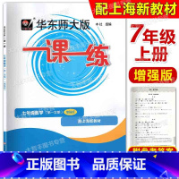 数学 七年级/初中一年级 [正版]2024新版 华东师大版 一课一练 数学 增强版 七年级第一学期/7年级上册上海版数学