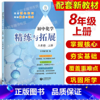 化学 八年级上 [正版]2024新版初中化学精练与拓展八年级上册基础拓展提升能力测试评价初中化学8年级第一学期上海教育出