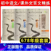 课外文言文精练 678年级[全3册] 初中通用 [正版]任选 魅力语文 初中课外文言文精练 启蒙篇+基础篇+提高篇 六七