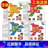 数学 九年级下 [正版]金牌一课一练 语文数学英语物理化学 六七八九年级上册下册/6789年级第一二学期 上海版数学配套