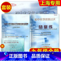 化学随堂练 书+卷+答案 九年级/初中三年级 [正版]2024新印次初中化学双基过关随堂练+初中化学单元测试+参考答案