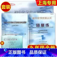 化学随堂练 书+卷+答案 九年级/初中三年级 [正版]2024新印次初中化学双基过关随堂练+初中化学单元测试+参考答案