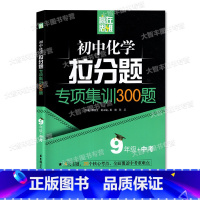 9年级 化学专项训练 [正版]赢在思维 初中化学拉分题解题思维训练+专项集训300题 九年级/9年级 中考化学专题训练