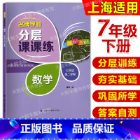 [正版]学校分层课课练 数学 七年级第二学期/7年级下 含答案 上海科技教育出版社 上海版教辅