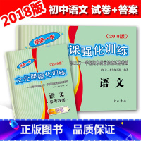 [正版]2018版领先一步中考文化课强化训练 语文 试卷+答案 上海中考一模卷语文 上海市各区初三第一学期期末质量抽查