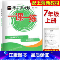 数学 七年级/初中一年级 [正版]2024新版华东师大版 一课一练 数学 七年级第一学期/7年级上册上海版数学配套教辅