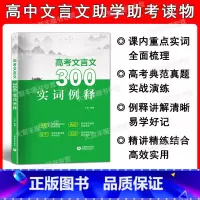 高考文言文300实词例释 全国通用 [正版]高考文言文300实词例释 高中虚实词 通假字 全国通用版 高考文言文高频实