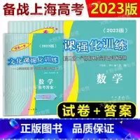 2023高考一模 数学 试卷+答案 上海 [正版]2023年版领先一步 数学 上海高考数学一模卷 试卷+答案 文化课