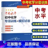 化学 九年级/初中三年级 [正版]中考化学分层训练 中考水平初中化学专项训练与模拟试卷 上海版配套 经典题型精练核心真题