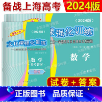 2024 高考一模 数学 试卷+答案 高中三年级 [正版]2024年版领先一步 数学 上海高考数学一模卷 试卷+参考答案