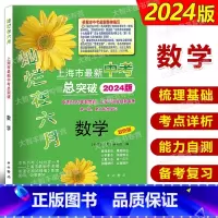 灿烂在六月 中考总突破 数学 上海 [正版]2024版灿烂在六月上海市中考总突破 数学 双色版 适2021年起始的上海7