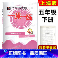 数学 五年级下 [正版]2023春华东师大版一课一练 数学 五年级第二学期/5年级下册华东师范大学出版社 上海版配套教辅