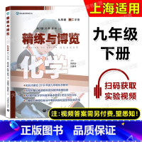 化学 九年级下 [正版]精练与博览 化学 九年级第二学期/9年级下 上海教育出版社 配套上海新版化学 课后作业课后练习