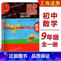 [正版]初中四星级同步题组训练与测评 数学 九年级/9年级第一、二学期 科教版教辅 上海科技教育出版社 上海版教辅课后