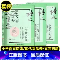 语文太重要 小学(全3册) 小学通用 [正版]2023新版语文太重要 小学文言启蒙+现代文品读+作文指津 修订版 全套3