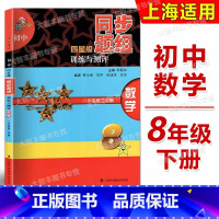 数学 [正版]初中四星级同步题组 训练与测评 数学 八年级第二学期/8年级下册上海科技教育出版社 上海版教辅课后练课后