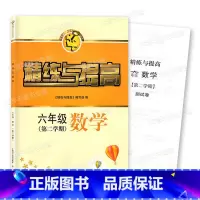 [正版]智慧学习步步高丛书 精练与提高 数学 六年级第二学期/6年级下 书+测试卷 中西书局 上海版配套教辅练习