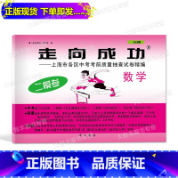 [正版] 2019年版走向成功 中考数学 二模卷试卷 2019上海中考二模卷 数学 上海市各区县中考考前质量抽查