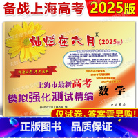 高考精编 数学 试卷 上海 [正版]2025版 灿烂在六月 高考数学模拟卷 上海市新高考数学模拟强化测试精编 上海高三学