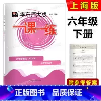 语文 六年级下 [正版]2023春华东师大版一课一练 语文 六年级第二学期/6年级下册 上海版配套教辅 含参考答案 华