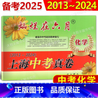 中考真卷 化学 上海 [正版]2025灿烂在六月上海中考真卷 化学 2013-2024上海中考真题汇编 含答案 初中初三