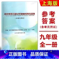 物理堂堂练 参考答案 九年级/初中三年级 [正版]新版2024-20254学年度 初中物理双基过关堂堂练参考答案 (含单