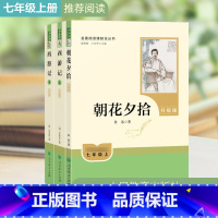 [人教版7年级上]朝花夕拾+西游记上下 [正版]西游记下年级骆驼祥子原著人民教育出版社出版初一课外阅读书籍读物无删减世界