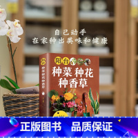 本阳台种菜种花种香草 [正版]阳台种菜种花种香草彩图详解 花卉养护知识 养花教程花卉知识介绍种植栽培修剪指导繁殖法书籍鲜