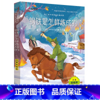 [正版]钢铁是怎样炼成的 小学生一二三年级课外书读物7-10-12岁儿童文学故事书籍 钢铁是怎么练成的 保尔柯察金经典
