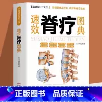 速效脊疗图典 [正版]速效脊疗图典 颈腰椎病 腰突症颈椎病临床常见骨关节病基本知识养护方法 康复护理参考书 自我诊断骨关