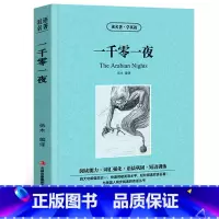 一千零一夜 [正版]一千零一夜中英文双语版阿拉伯民间故事集中英对照中英文经典世界名著外国文学长篇小说英文版原版英语读物初