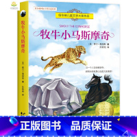 [正版]牧牛小马斯摩奇 纽伯瑞儿童文学奖名著9-15周岁儿童读物书小学生三四五六年级初中语文小学学校阅读物书籍