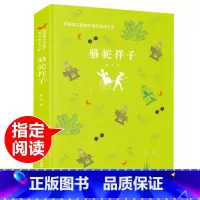 [正版]RT 骆驼祥子 老舍 中小学教辅 中小学阅读 课外阅读 北京理工大学出版社 9787568264600