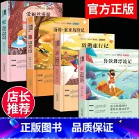 六下必读课外书 4册 [正版]快乐读书吧六年级下册文学经典书目全套4册鲁滨逊漂流记 汤姆索亚历险记 爱丽丝漫游奇境 骑鹅
