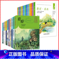 [全25册]十大名家经典+大语文三部曲 [正版]中国儿童文学名家经典全套10册 冰波王一梅童话系列课外书沈石溪动物小说