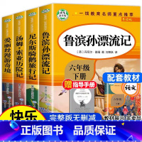 快乐读书吧六年级下必读 带考点 [正版]全4册六年级下册快乐读书吧鲁滨逊漂流记原著完整版爱丽丝漫游奇境尼尔斯骑鹅旅行记课