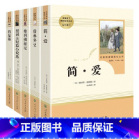 全5册[人民教育出版社]九年下 [正版]简爱和儒林外史原著人民教育出版社我是猫格列佛游记契诃夫短篇小说 全5册 初三课外