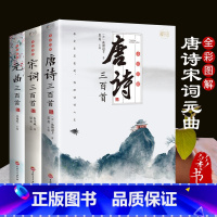 全三册[唐诗+宋词+元曲]完整版 [正版]唐诗全集宋词元曲彩色图解古诗词注释初高中成人通用版古诗词大全鉴赏辞典赏析注释译