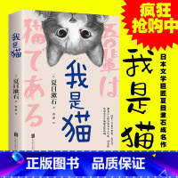 我是猫 [正版]我是猫 夏目漱石 以猫眼看世界猫作为故事的叙事者猫的所见所闻 阅读书目外国日本经典文学小说名家经典作品世