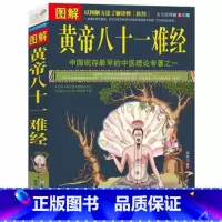 黄帝八十一难经 [正版]黄帝八十一难经 白话解皇帝内经八十一难全套彩图版 入门基础理论书籍零基础