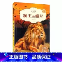 狮王的崛起 [正版]动物小说大王沈石溪动物小说系列全9册经典阅读书籍 小学生课外阅读读物