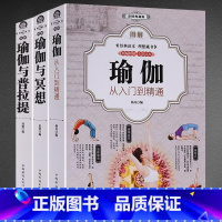 3册套装 [正版]全3册图解瑜伽 彩图典藏版从入门到精通 快速入门养心强身 瑜伽健身技巧与方法全彩书籍