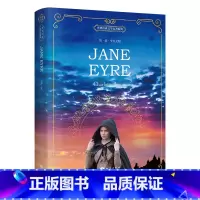 简爱 [正版]全英文原版小说经典原著小王子/傲慢与偏见/动物庄园/老人与海/简爱/人性的弱点/ 海底两万里全英文外国文学